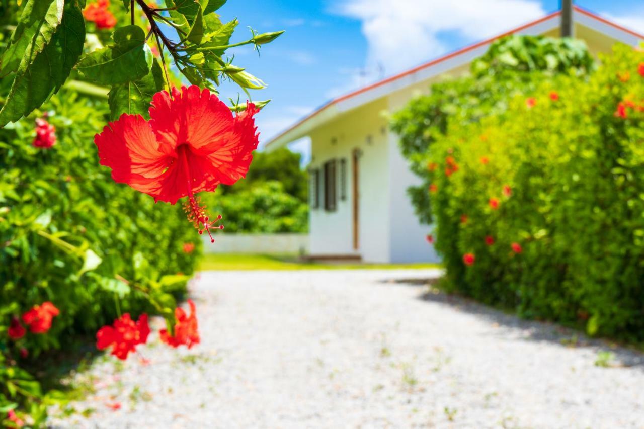 Sunset Hill Ishigaki Villa Ishigaki  Exterior photo